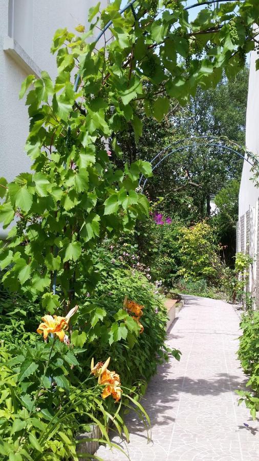 Chambre Avec Jardin Pierre Curie Bry-sur-Marne Esterno foto