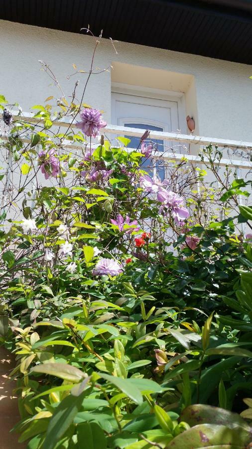 Chambre Avec Jardin Pierre Curie Bry-sur-Marne Esterno foto